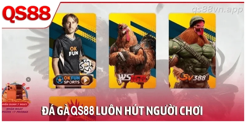 Sảnh đá gà trực tiếp QS88
